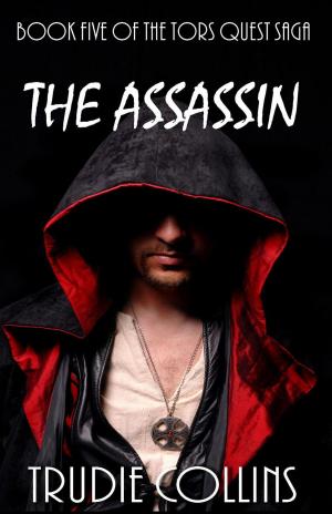 Cover of the book The Assassin by Heath Aston
