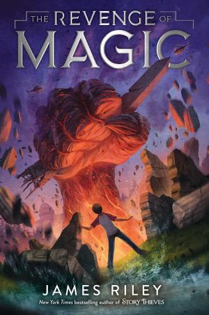 Cover of the book The Revenge of Magic by Davy Ocean