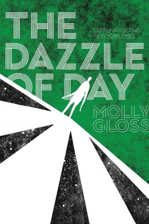Cover of the book The Dazzle of Day by RoAnna Sylver