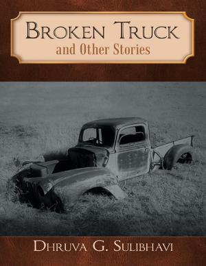 Cover of the book Broken Truck and Other Stories by D. Jeremy Doraido