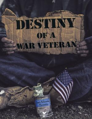 Cover of the book Destiny of a War Veteran by Carolle L. Bright