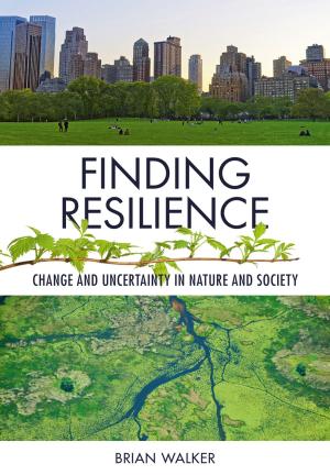 Cover of the book Finding Resilience by Robin Brimblecombe, Kara Rosemeier