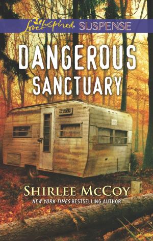 Book cover of Dangerous Sanctuary