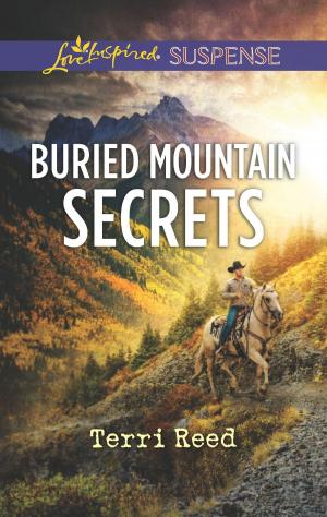 Cover of the book Buried Mountain Secrets by Michelle Kelly