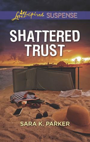 Cover of the book Shattered Trust by Jean Kincaid