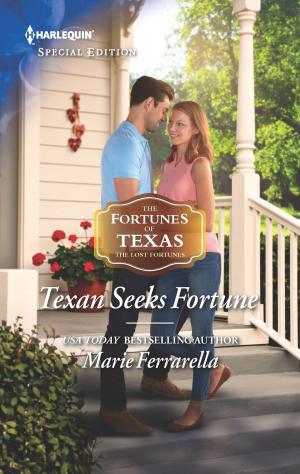 Cover of the book Texan Seeks Fortune by Thomas E. Hall