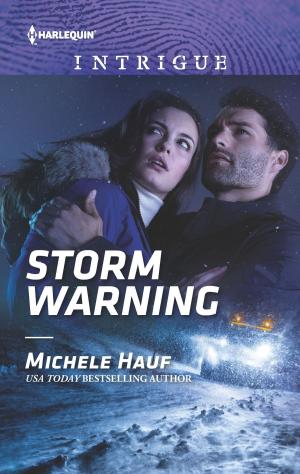 Cover of the book Storm Warning by George Harmon Coxe