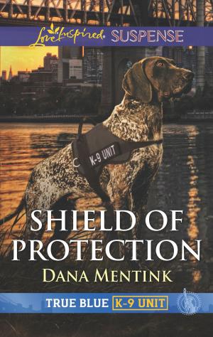 Cover of the book Shield of Protection by Shannon Taylor Vannatter