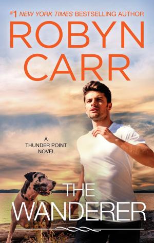 Cover of the book The Wanderer by Robyn Carr