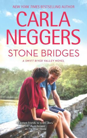 Book cover of Stone Bridges