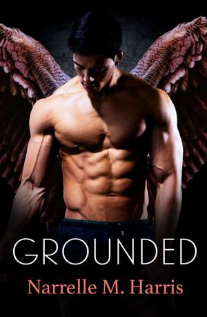 Cover of the book Grounded by S e Gilchrist