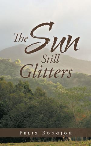 Cover of the book The Sun Still Glitters by ERIC R. PELLATZ