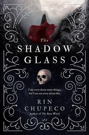 Cover of the book The Shadowglass by Libuse Binder