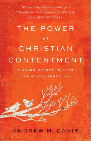 Cover of the book The Power of Christian Contentment by Dwight J. Friesen