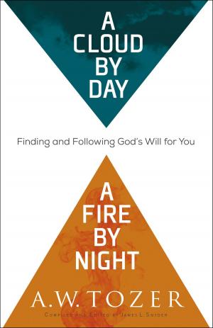 Cover of the book A Cloud by Day, a Fire by Night by Marie Chapian
