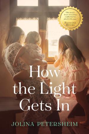 Cover of the book How the Light Gets In by Jerry B. Jenkins, Chris Fabry