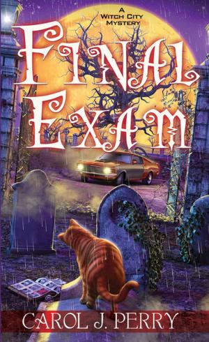 Cover of the book Final Exam by Twist Ranger