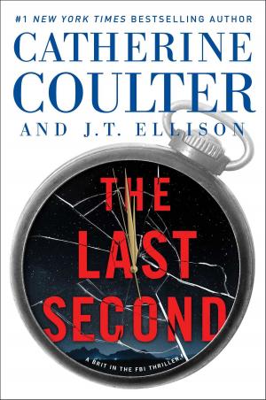 Cover of the book The Last Second by Sam Benjamin