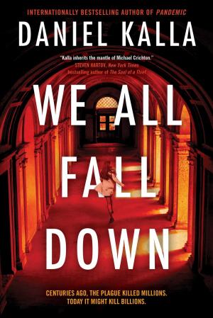 Cover of the book We All Fall Down by Daniel Hernandez
