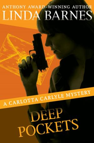 Book cover of Deep Pockets