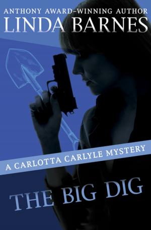 Cover of the book The Big Dig by M. E. Kerr