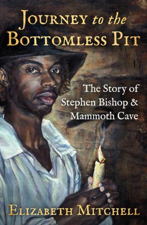 Book cover of Journey to the Bottomless Pit