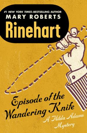 Cover of the book Episode of the Wandering Knife by J.L. O'Rourke