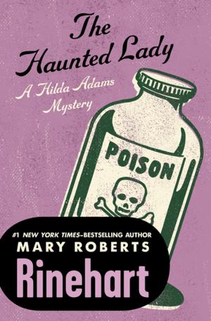 Book cover of The Haunted Lady