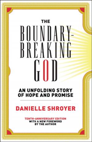 Book cover of The Boundary-Breaking God