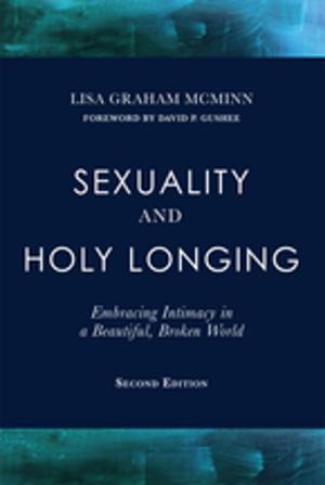Cover of the book Sexuality and Holy Longing by Michele Saracino
