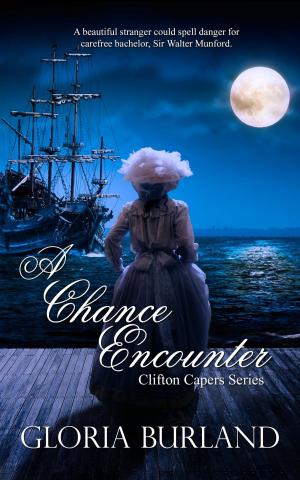 Cover of the book A Chance Encounter by Desiree  Holt
