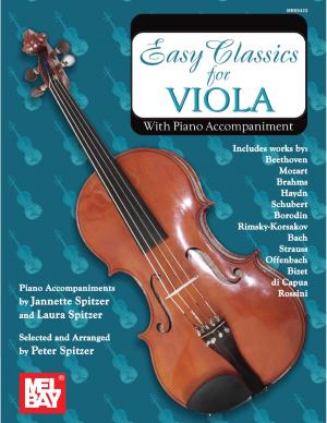 Cover of the book Easy Classics For Viola by Steve Kaufman