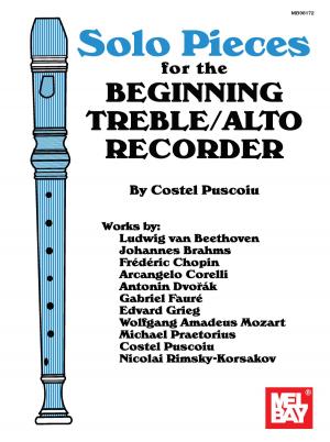 Cover of the book Solo Pieces for the Beginning Treble/Alto Recorder by David Barrett