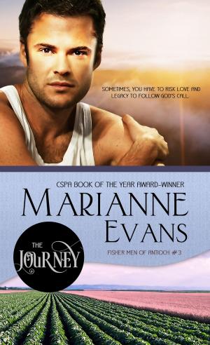 Cover of the book The Journey by Tanya Hanson