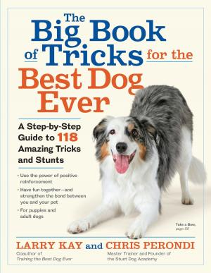 Cover of the book The Big Book of Tricks for the Best Dog Ever by Brian Monaghan, Gerri Monaghan