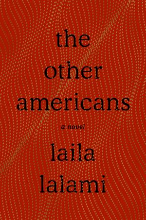 Cover of the book The Other Americans by Terry Tredrea