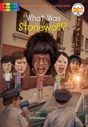 bigCover of the book What Was Stonewall? by 