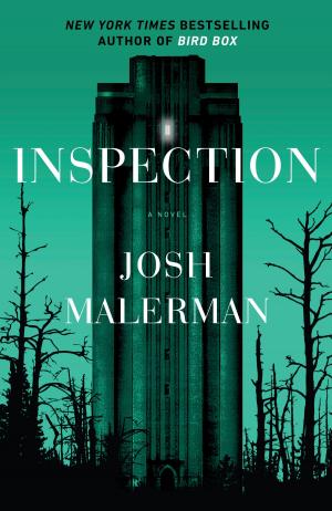 Cover of the book Inspection by Catherynne Valente