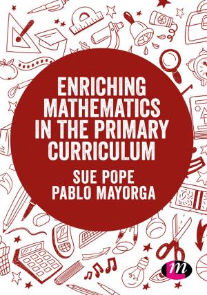 Cover of the book Enriching Mathematics in the Primary Curriculum by Brian P. McGinley