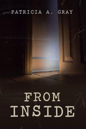 Cover of the book From Inside by Jack H. Smith