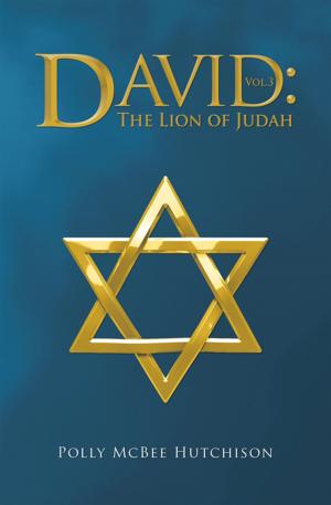 Cover of the book David by Jeanne Taylor McClellan