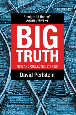 Cover of the book Big Truth by Stephen Schade