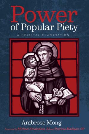 Cover of the book Power of Popular Piety by Craig Hovey