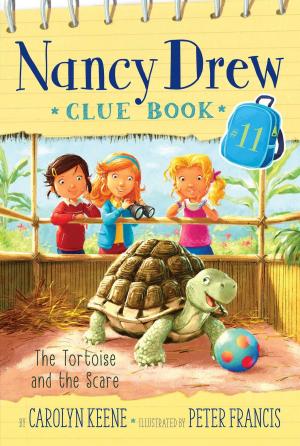Cover of the book The Tortoise and the Scare by Kathleen Duey