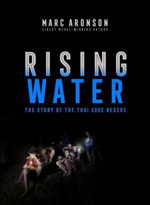 Cover of the book Rising Water by Susan Fletcher