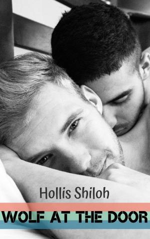 Cover of the book Wolf at the Door by Hollis Shiloh