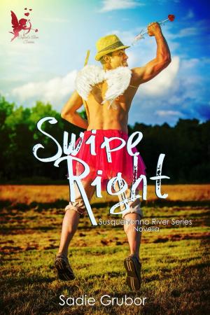 Cover of the book Swipe Right by Dana Roquet