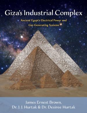 Book cover of Giza's Industrial Complex