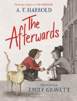 Cover of the book The Afterwards by Jonathan Scott