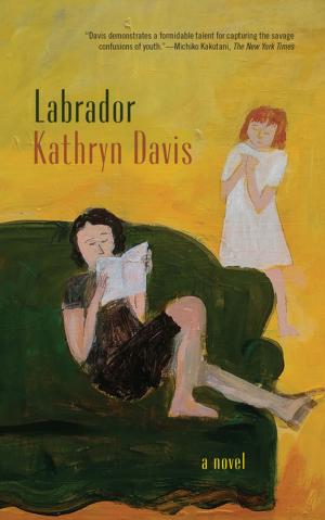 Cover of the book Labrador by J. Robert Lennon